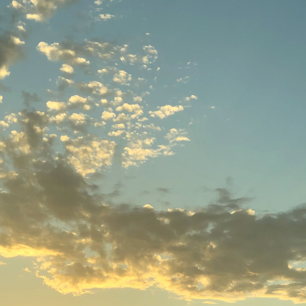 Meet your Posher, Pedro